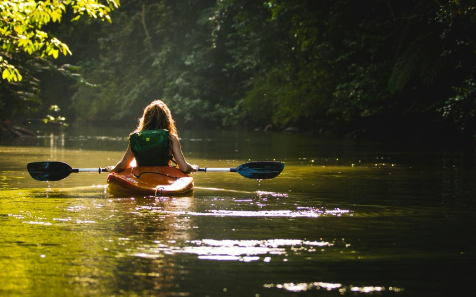 Paddle